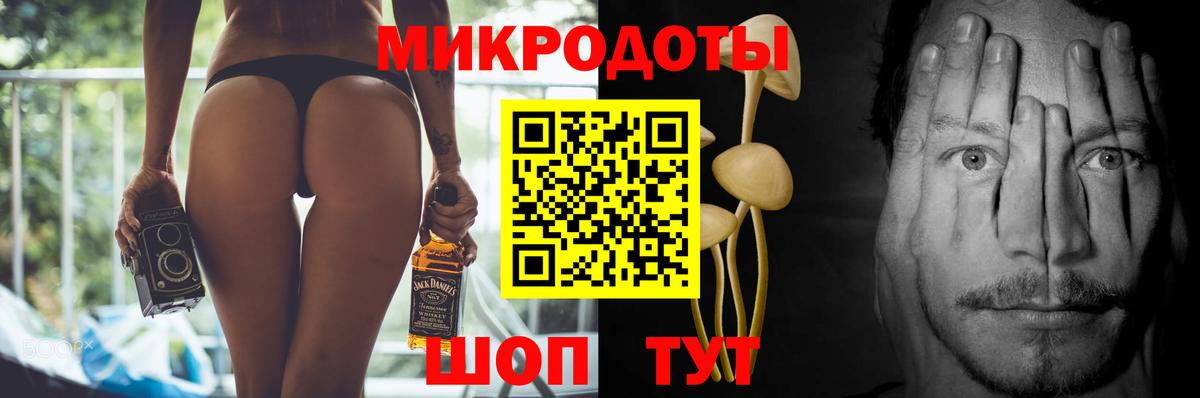 Псилоцибиновые грибы мицелий  Вход с VPN  наркотики  Норильск  Псилоцибиновые грибы Psilocybe 